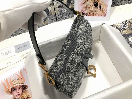 Dior M0446 25.5x20x6.5cm wz (11)