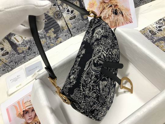 Dior M0446 25.5x20x6.5cm wz (20)