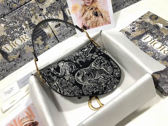 Dior M0446 25.5x20x6.5cm wz (22)