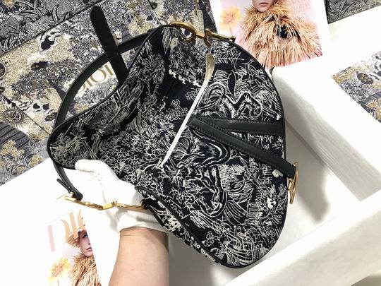 Dior M0446 25.5x20x6.5cm wz (25)