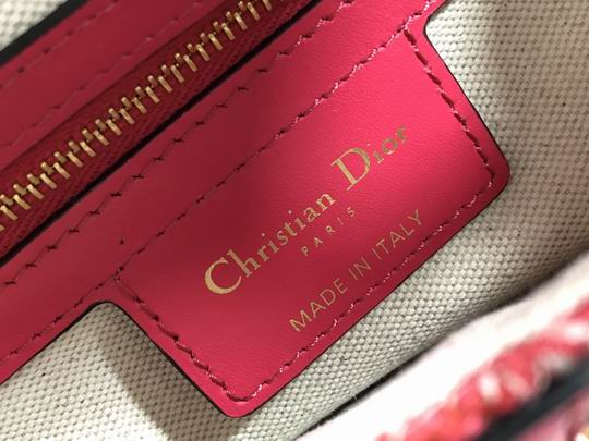 Dior M0446 25.5x20x6.5cm wz (9)