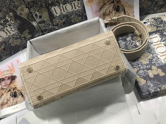 Dior M0565 24x20x11cm yz (7)