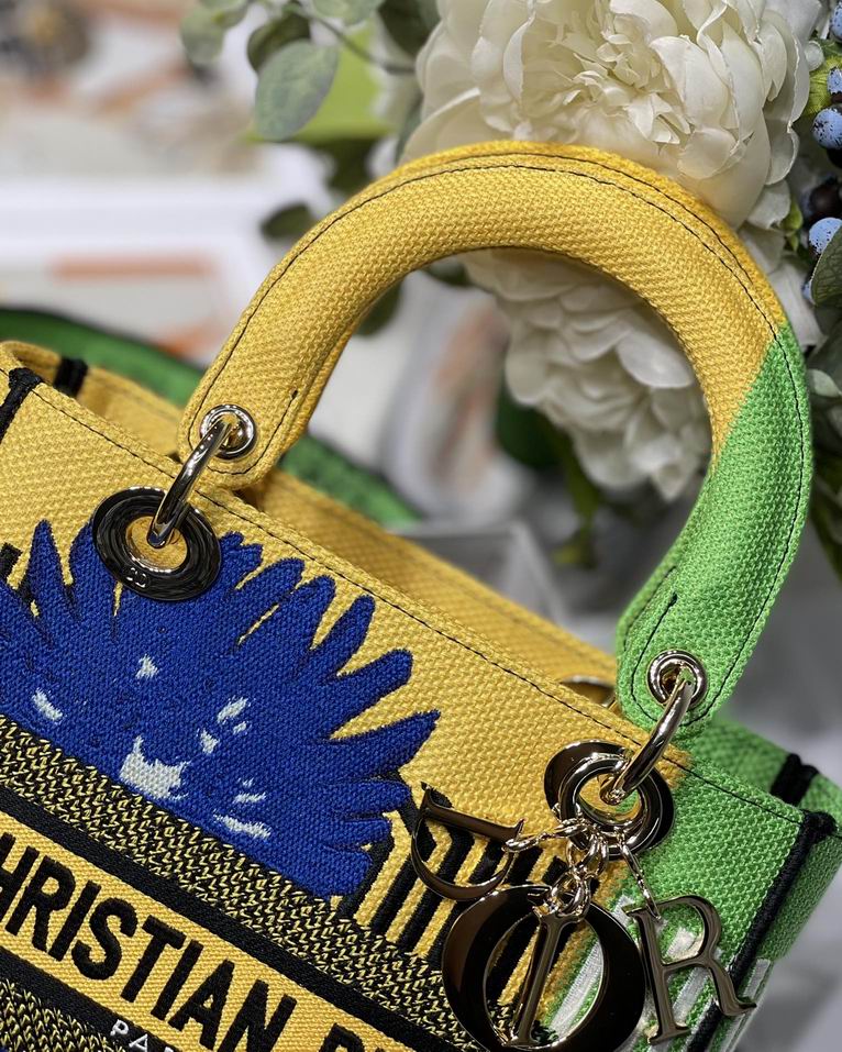 Dior M8002 24x20x11cm yz (14)