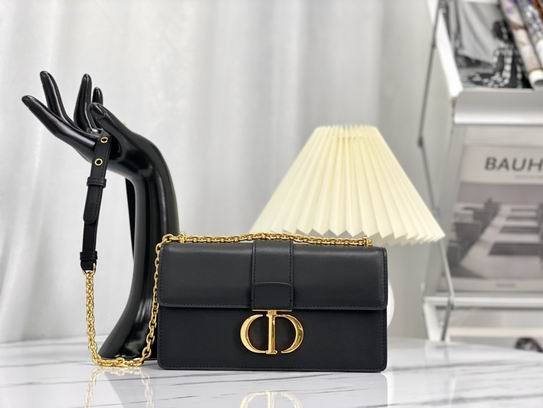 Dior M9334蓝 黑 白刺绣 21.5x12x6cm wz (10)
