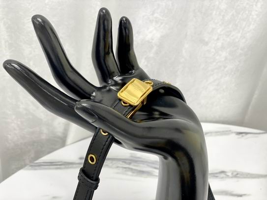 Dior M9334蓝 黑 白刺绣 21.5x12x6cm wz (15)