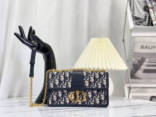 Dior M9334蓝 黑 白刺绣 21.5x12x6cm wz (19)
