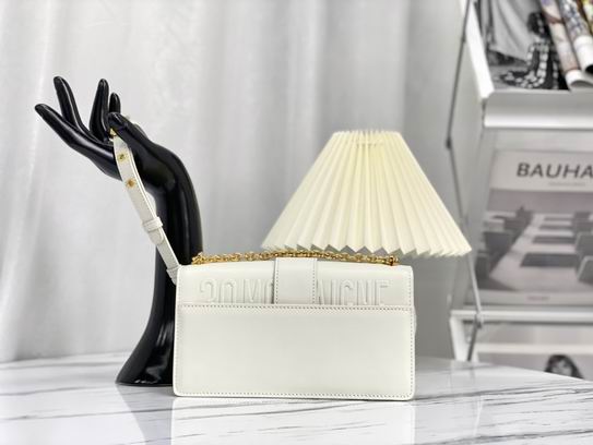 Dior M9334蓝 黑 白刺绣 21.5x12x6cm wz (2)