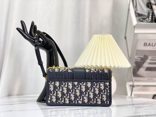 Dior M9334蓝 黑 白刺绣 21.5x12x6cm wz (20)