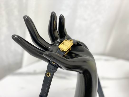 Dior M9334蓝 黑 白刺绣 21.5x12x6cm wz (24)