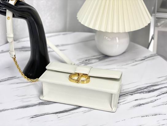 Dior M9334蓝 黑 白刺绣 21.5x12x6cm wz (3)