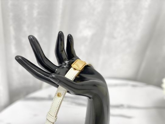 Dior M9334蓝 黑 白刺绣 21.5x12x6cm wz (6)