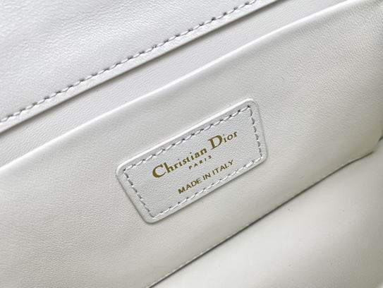 Dior M9334蓝 黑 白刺绣 21.5x12x6cm wz (8)