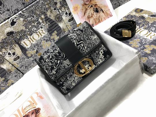 Dior Montaigne M9203 24x17x8cm wz (1)