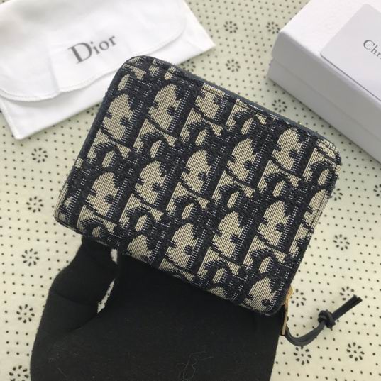 Dior Oblique 5538 9x11cm wz (2)