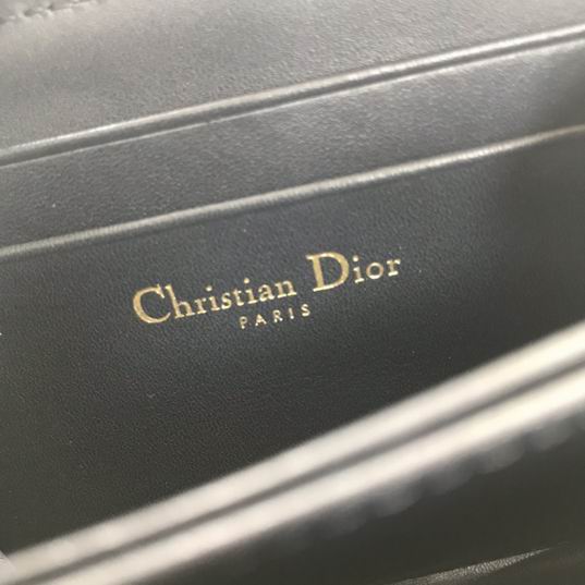 Dior Oblique 5538 9x11cm wz (8)