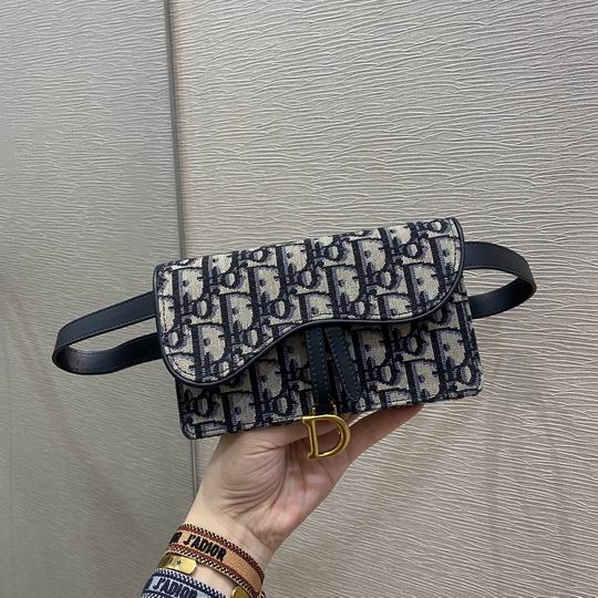Dior Saddle腰包 17x10x3.5cm wz (1)