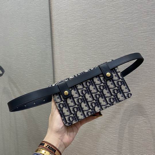 Dior Saddle腰包 17x10x3.5cm wz (2)