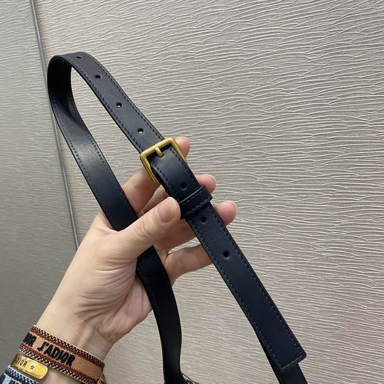 Dior Saddle腰包 17x10x3.5cm wz (5)