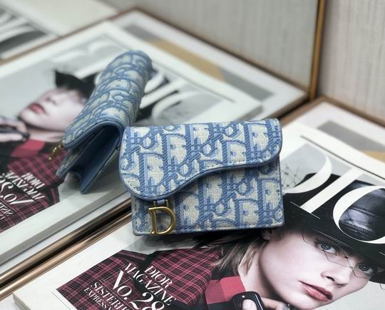 Dior Saddle 10.5cm yz (1)