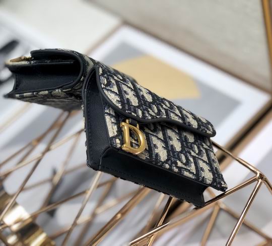 Dior Saddle 10.5cm yz (23)