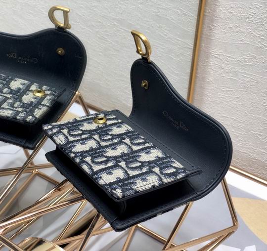 Dior Saddle 10.5cm yz (26)