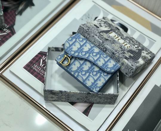 Dior Saddle 10.5cm yz (3)