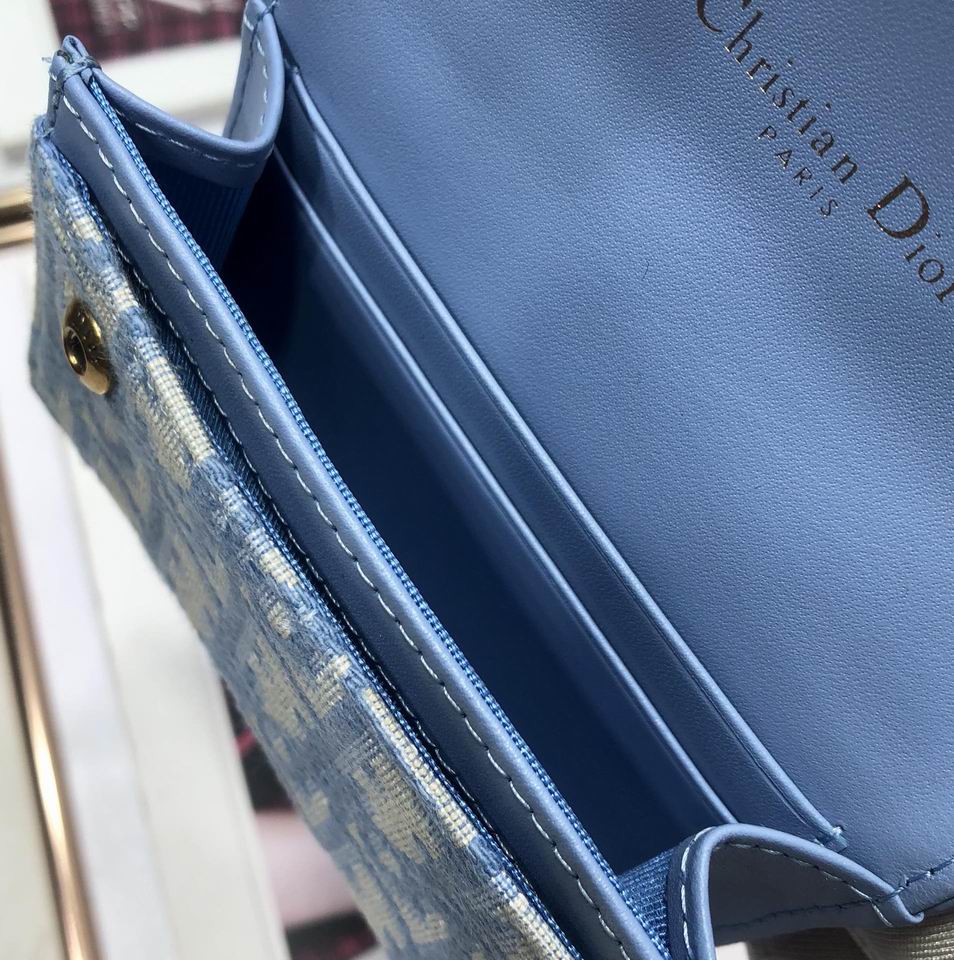 Dior Saddle 10.5cm yz (9)