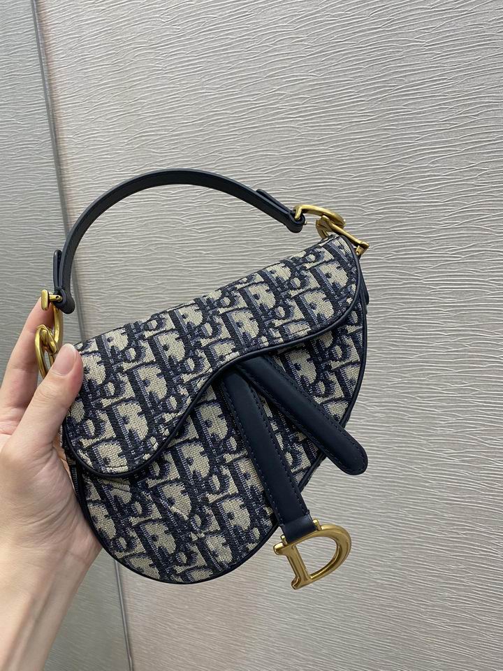 Dior Saddle 19.5cm wz (1)
