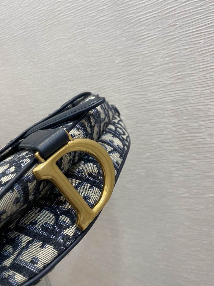 Dior Saddle 19.5cm wz (3)