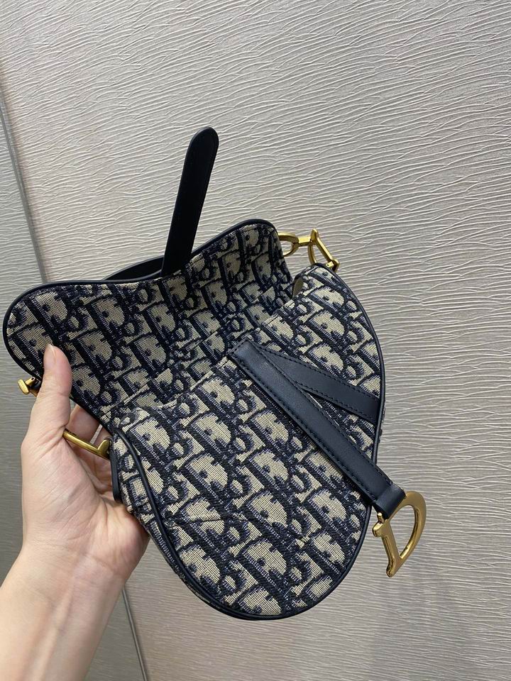 Dior Saddle 19.5cm wz (5)