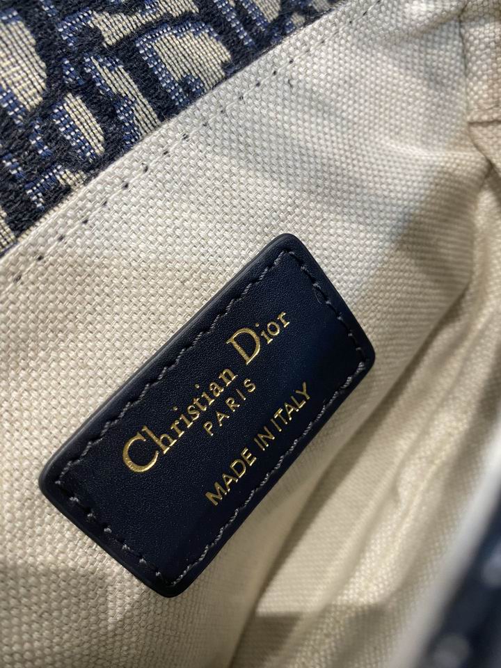 Dior Saddle 19.5cm wz (8)