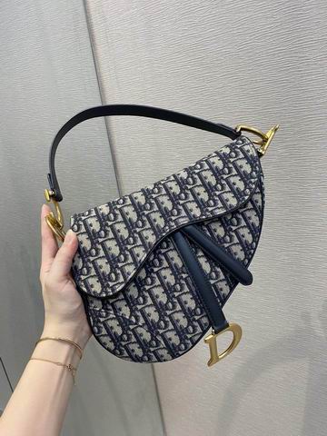 Dior Saddle 25.5cm wz (1)