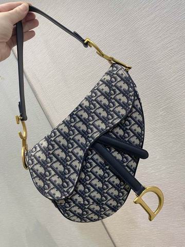 Dior Saddle 25.5cm wz (2)