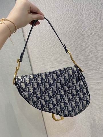 Dior Saddle 25.5cm wz (3)
