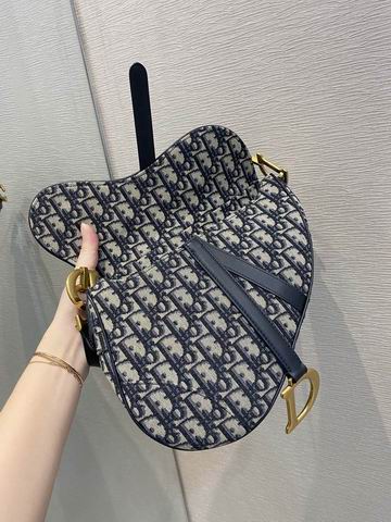 Dior Saddle 25.5cm wz (7)