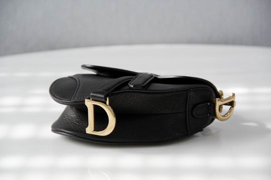 Dior Saddle 6816mini 12X7.5x5cm wo (5)