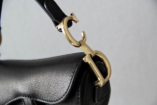 Dior Saddle 6816mini 12X7.5x5cm wo (6)