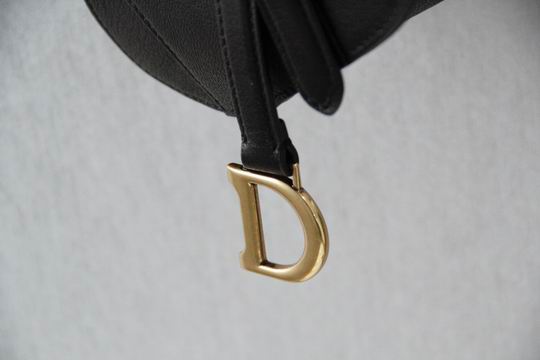 Dior Saddle 6816mini 12X7.5x5cm wo (7)