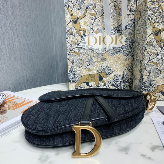 Dior Saddle M0446 25.5x20x6.5cm wo4色 (4)
