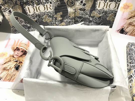 Dior Saddle M0446 25.5x20x6.5cm wz (13)