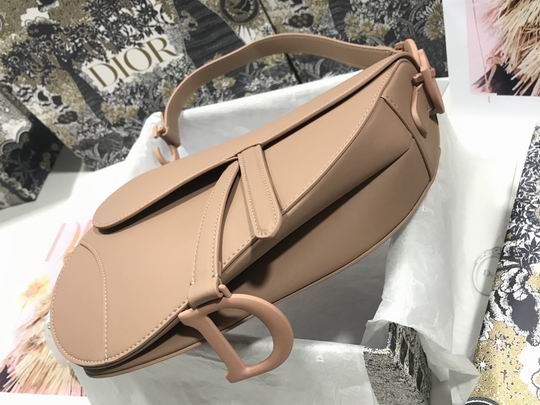 Dior Saddle M0446 25.5x20x6.5cm wz (22)