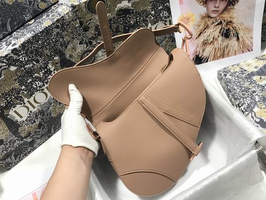 Dior Saddle M0446 25.5x20x6.5cm wz (25)