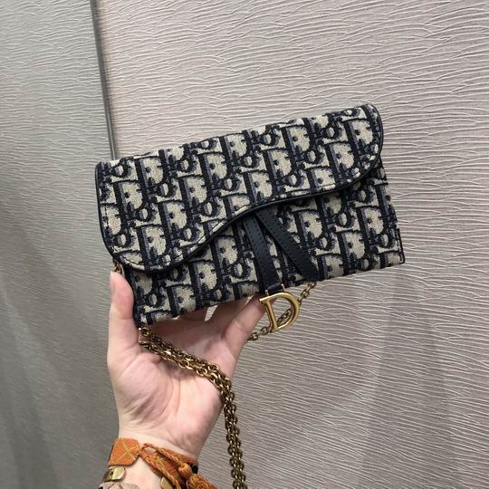 Dior Saddle Oblique 19cm wz (2)