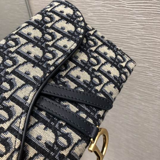 Dior Saddle Oblique 19cm wz (6)