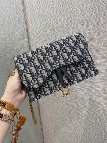 Dior Saddle woc 22x14x4cm wz (1)