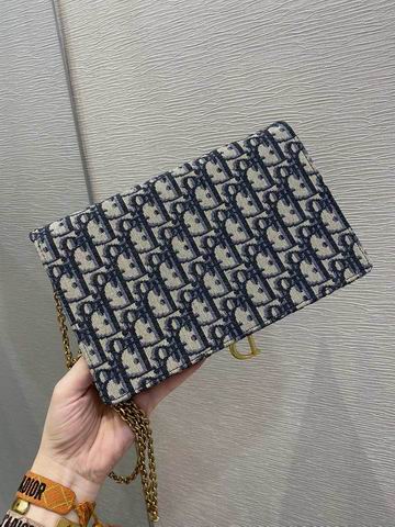 Dior Saddle woc 22x14x4cm wz (2)