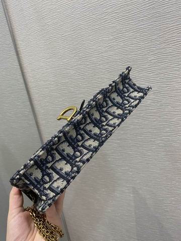 Dior Saddle woc 22x14x4cm wz (3)