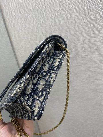 Dior Saddle woc 22x14x4cm wz (4)