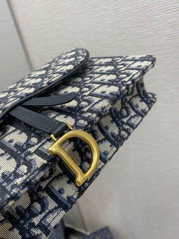 Dior Saddle woc 22x14x4cm wz (5)