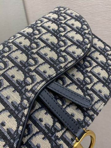 Dior Saddle woc 22x14x4cm wz (6)